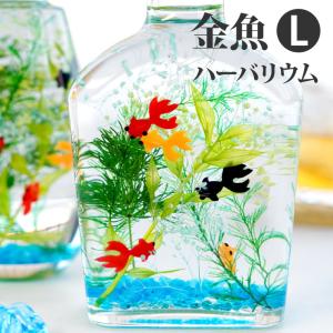 即日発送 16時〆切 誕生日 ギフト 金魚ハーバリウム Lサイズ 送料無料 花 プレゼント 誕生日プレゼント お祝い 夏ギフト かわの通販はau Pay マーケット 花まりか 商品ロットナンバー