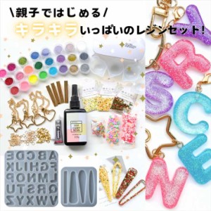 レジン セット 子供 親子 シリコンモールド ライト クリスマス プレゼント 福袋 ギフト 初心者 スターターキット レジン液  封入パーツ 