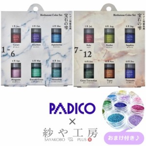 ＼22％OFF／ パジコ 宝石の雫 バースストーンカラーセット＜1〜6月＞＜7〜12月＞ 各3ml2種セット おすすめ封入素材おまけ付 PADICO 着色