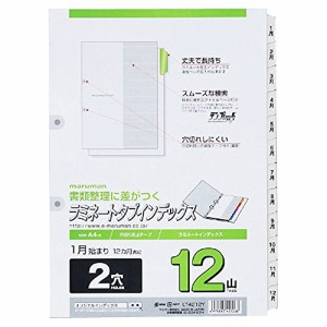 マルマン インデックス A4 2穴 インデックスシート 12ヶ月 1組 10冊 LT4212Y