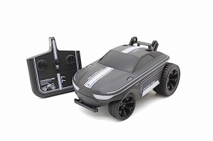 キョウショウエッグ R/C ステルスネオン TK002