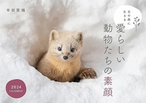 北の森に生きる愛らしい動物たちの素顔カレンダー2024（壁掛け） ([カレンダー])