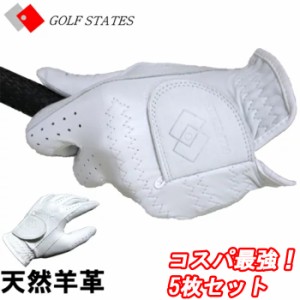 GOLF STATES　ゴルフステーツ　5枚セット　シープ　天然羊革　ゴルフグローブ　こちらの商品は外箱はありません　商品により多少の色の違