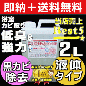 【無料サンプル付！】送料無料 業務用カビ取り剤 大掃除 浴室 風呂 壁紙 壁クロス カビ取り 強力 ぬめりとり バス お風呂洗剤