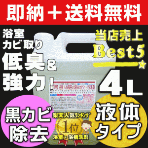 【無料サンプル付！】送料無料 業務用カビ取り剤 大掃除 浴室 風呂 壁紙 壁クロス カビ取り 強力 ぬめりとり バス お風呂洗剤