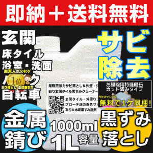 【無料サンプル付！】送料無料 サビ取り剤 サビ落とし 玄関 浴槽 自転車 トイレ タイル 黒ずみ 掃除 水垢落とし 業務用強力サ