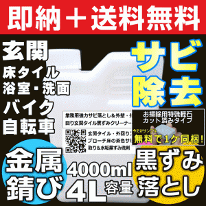 【無料サンプル付！】送料無料 サビ取り剤 サビ落とし 玄関 浴槽 自転車 トイレ タイル 黒ずみ 掃除 水垢落とし 業務用強力サ