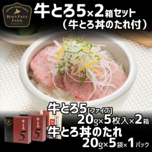 お歳暮 ギフト 北海道産牛 牛肉 牛とろ5(ファイブ)セット お土産 贈答品 北海道 十勝スロウフード