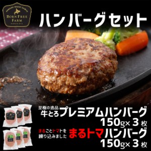 北海道産牛 牛肉 ハンバーグセット 牛とろプレミアムハンバーグ・まるトマハンバーグのセット ギフト 贈答品 北海道十勝スロウフード