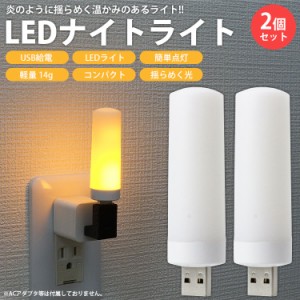 USB LEDライト 2個セット ナイトライト 揺らめく光 炎のような揺らめき USB給電 小型 軽量 コンパクト 簡単点灯 PR-UL20【メール便 送料