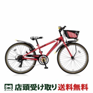 折りたたみ ジュニア 自転車 マイパラス 子供用 マウンテン 折りたたみ ジュニア 自転車 マイパラス 子供用 マウンテン