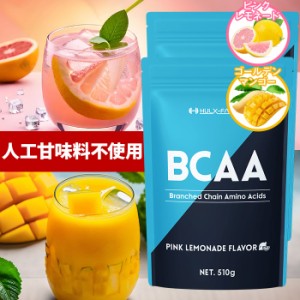 [2袋セット]BCAAパウダー 必須アミノ酸[βアラニン ベタイン マルトデキストリン 配合 510g] ハルクファクター BCAA サプリメント 人工甘