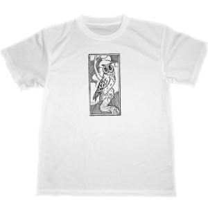 猛禽類の通販 Au Pay マーケット 2ページ目