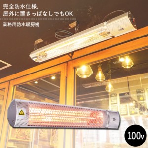 クレスター Chrester 業務用屋外防水ヒーター フェアリー 100V 1000W 壁・天井設置モデル