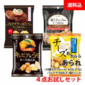 送料無料 メール便 チーズあられ 4点セット (塩トリュフ/キャビアうに/十勝カマンベール/フォアグラ) あられ お試し アソートセット お菓