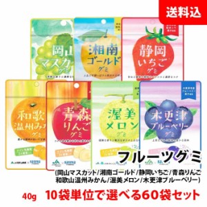 送料無料 フルーツグミ 6箱(60袋) 10個単位で選べる まとめ買いセット ラブレ乳酸菌 ジュレ果汁入り 果汁ぐみ カネカ食品 JA 共同開発 ご