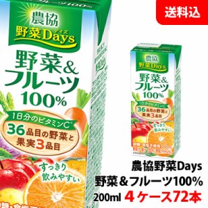 送料無料 雪印メグミルク 農協野菜Days 野菜＆フルーツ 200ml 4ケース(72本)【砂糖・食塩・着色料・保存料無添加】 紙パック 野菜ジュー