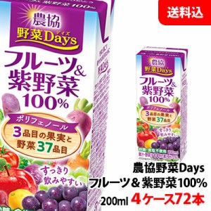 送料無料 雪印メグミルク 農協野菜Days フルーツ＆紫(むらさき)野菜ミックス 200ml 4ケース(72本)【砂糖・食塩・着色料・保存料無添加】 