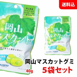 ネコポス 岡山マスカット フルーツグミ 5袋 ラブレ乳酸菌 ジュレ果汁入り 果汁ぐみ カネカ食品 JA 共同開発 ご当地 お菓子 送料無料 メー