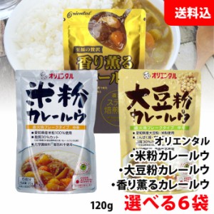 送料無料 オリエンタル カレー 選べる6袋 (米粉/大豆粉/香り薫る) カレールー フレークタイプ カレー粉