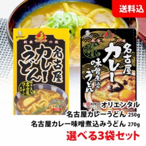 送料無料 ネコポス カレーうどん 選べる3食セット 名古屋コーチン / カレー味噌煮込みうどん レトルト カレーうどんの素 カレーソース オ