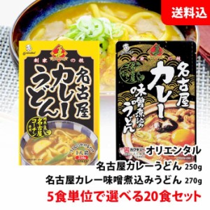 送料無料 カレーうどん 20食セット 5食単位で選べる 名古屋コーチン / カレー味噌煮込みうどん レトルト カレーうどんの素 カレーソース 