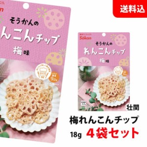 送料無料 ネコポス 梅 れんこんチップ 18g×4袋セット メール便 おつまみ 壮関