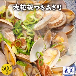 大粒 殻つき あさり 500g 送料無料 浅利 アサリ 在宅