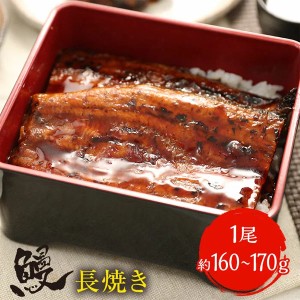 薩摩川内 国産炭火焼うなぎ 長焼き 徳大サイズ 約160g〜170g 鹿児島県 送料無料 ギフト 在宅