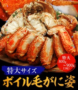 ボイル毛蟹 特大 800g〜900g 訳あり かに カニ ガニ 送料無料 かにしゃぶ かに鍋 お取り寄せ