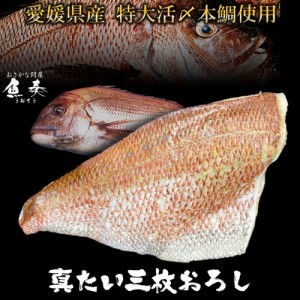 愛媛宇和島産 本鯛 三枚おろし 約350g〜400g 4〜6切分 送料無料 生食OK 真鯛 たい タイ 自社加工 お造り 海鮮鍋 取り寄せ 在宅