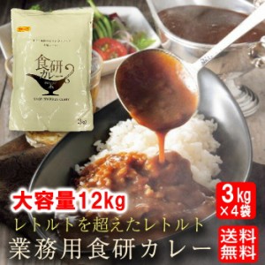 食研カレー 日本食研 3kg×4袋 送料無料 欧風ビーフカレー レトルト 大容量 業務用 グルメ