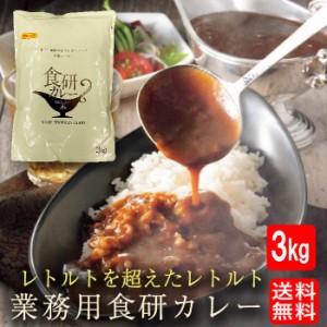 食研カレー 日本食研 3kg 送料無料 欧風ビーフカレー レトルト 大容量 業務用 グルメ