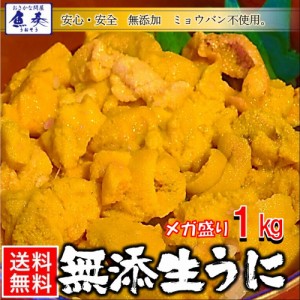 ミョウバン不使用 冷凍 生うに 1kg 100g×10パック チリ産 AAグレード 無添加 安心・安全 雲丹 ウニ うに丼 送料無料 業務用