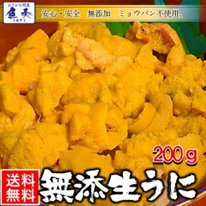 冷凍生うに 無添加 200g 100g×2パック チリ産 AAグレード ミョウバン不使用 安心・安全 うに丼 送料無料 うに 雲丹 ウニ ギフト 在宅 歳