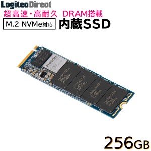 ロジテック DRAM搭載 内蔵SSD M.2 NVMe対応 256GB データ移行ソフト付 LMD-MPDB256 ロジテックダイレクト限定