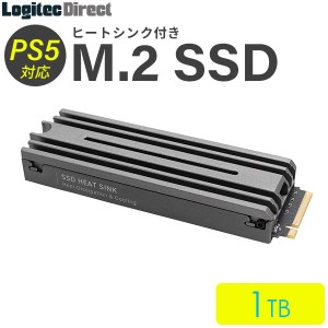 PS5対応 ヒートシンク付きM.2 SSD 1TB Gen4x4対応 NVMe PS5拡張ストレージ 増設 LMD-PS5M100 ロジテック