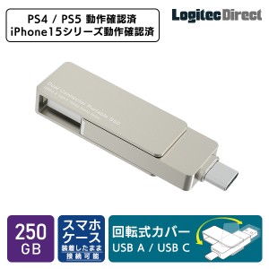 外付け SSD USB Type-A / USB Type-C 両挿し スティック型 コンパクト USBメモリサイズ USB3.2 Gen2 PS4 PS5 動作確認済 250GB LMD-SPE02