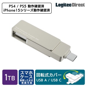 外付け SSD USB Type-A / USB Type-C 両挿し スティック型 コンパクト USBメモリサイズ USB3.2 Gen2 PS4 PS5 動作確認済 1TB LMD-SPE100U
