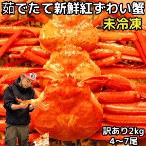 カニ 訳あり 紅ずわいがに 約2kg 4〜７尾 大〜小混合 未冷凍 水揚げ当日出荷 甘みを感じる新鮮 ボイル 蟹 送料無料 国産 鳥取 境港 直送 