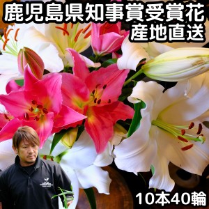 花 ユリ 花束 父の日 大輪 ギフト ミックス 10本 40輪 鹿児島県知事賞受賞 国産 誕生日 プレゼント ゴージャス お祝い 送料無料 花持ちが