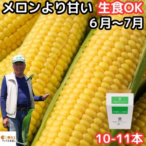 とうもろこし 御中元 生で食べれる おおもの スイートコーン 香川 三豊産 トウモロコシ 2L〜3Lサイズ 10-11本入 糖度 お中元 父の日 プレ