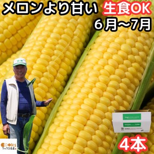 とうもろこし 御中元 生で食べれる おおもの スイートコーン 香川 三豊産 トウモロコシ 2Lサイズ 4本入り 糖度 お中元 父の日 プレゼント