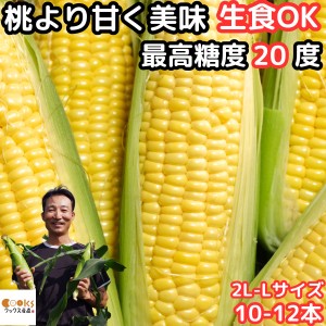 累計45万本突破 桃より甘い とうもろこし A品 贈答 2L〜L 10〜12本 生で食べれる 県外不出 甘い 朝採 恵味 長野産 生トウモロコシ お中元