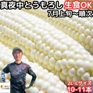 とうもろこし 早割 甘い ギフト お中元 送料無料 生で食べれる 白いとうもろこし プレゼント 糖度18〜19度 兵庫 豊岡 白 真夜中 トウモロ