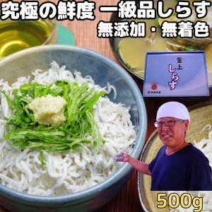 しらす 釜揚げ ギフト 贈答用 天然塩使用 未冷凍 500g 無添加 無着色 1級品 究極の鮮度 和歌山 辰ヶ浜 魚源水産 直送 釜揚げしらす シラ