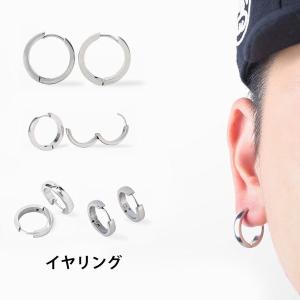 さわやか 鷹 日光 ピアス メンズ 流行り Butahachido Jp