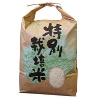 2023年度産 長崎県産 特別栽培米 ヒノヒカリ 白米（4.5kg）【上島農産】