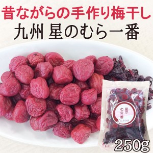 【2023年度産】【数量限定】手づくり梅干し 星のむら一番 小梅（250g）【と井家本舗】