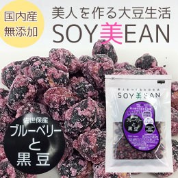 SOY美EAN（ソイビーン）ブルーベリーと黒豆（68g）【宮本邦製菓】